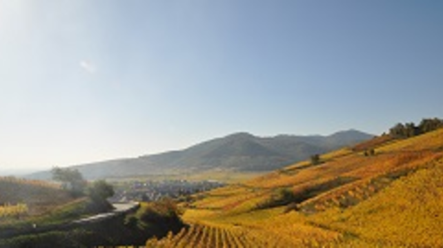 Alsace Honeymoon - Gourmet & Wine Tour - 5 Days - European Driving Holiday